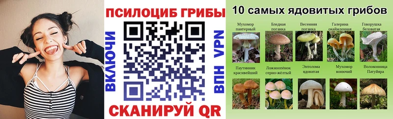 Галлюциногенные грибы MAGIC MUSHROOMS  где найти наркотики  Нурлат 